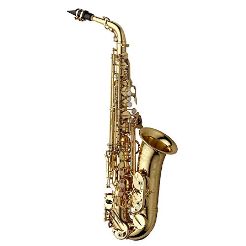 Yanagisawa AWO10 Alto Saxophone