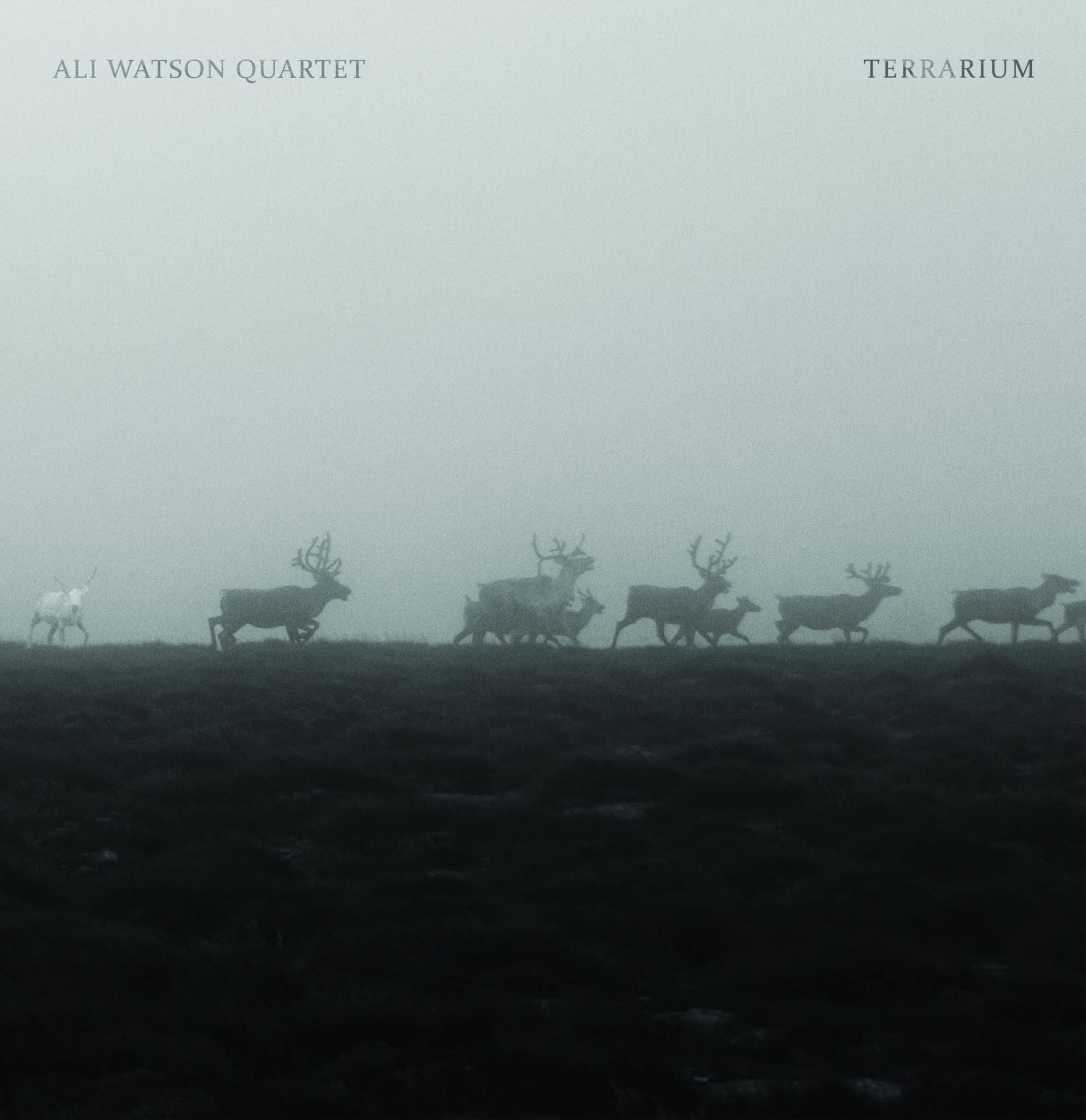 Ali Watson Quartet | Terrarium | November 26, 2024