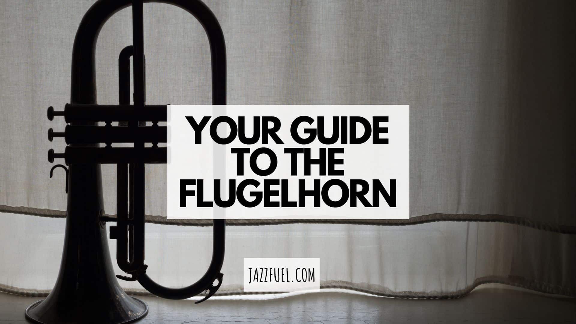 The Flugelhorn (What is it? What Are The Best Brands?)