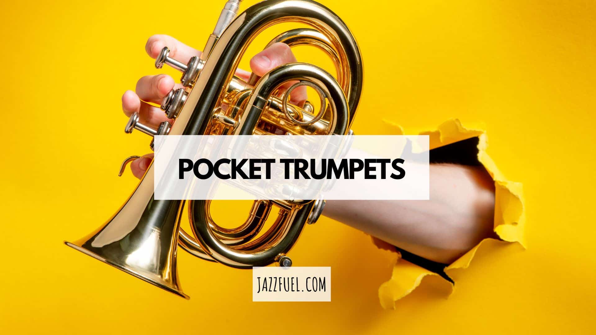 Pocket trumpets guide
