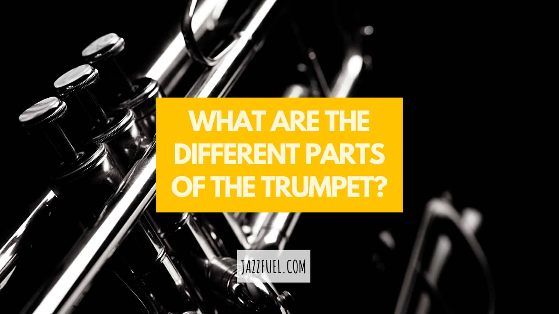 What Are the Different Parts of the Trumpet? Instrument Anatomy
