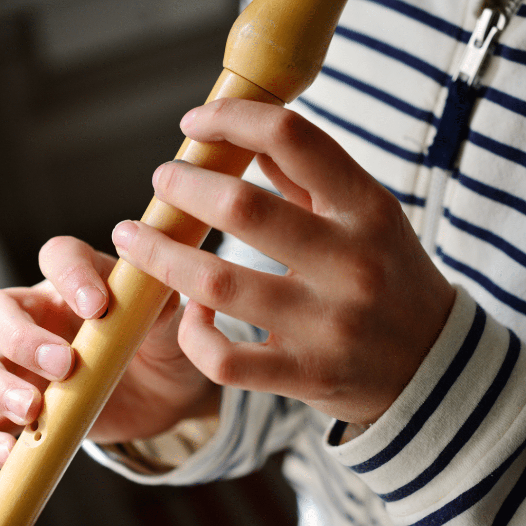 The recorder (wind instrument family)